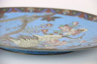 JAPAN, Dish in cloisonné enamels decorated...