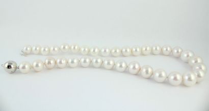 Collier de perles de culture en chute (diamètre...