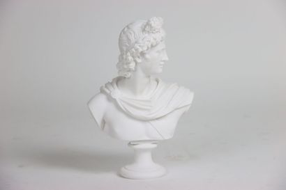 Bust of Apollo looking to the left, sculpture...