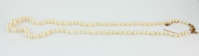 Necklace decorated with falling cultured...