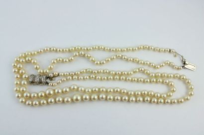 Necklace composed of two rows of cultured...