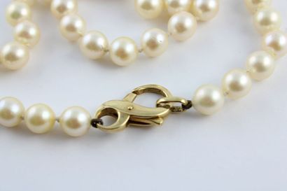 Collier de perles de culture, le fermoir...