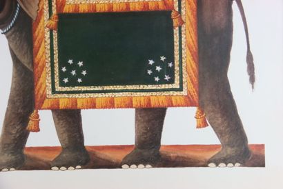 INDE. Éléphants de cérémonie, paire de lithographies....