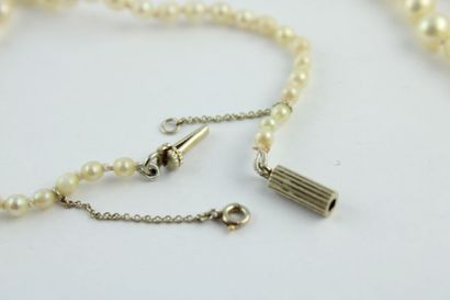 Collier de perles de culture en chute, le...