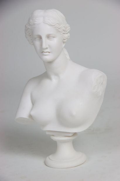 Buste de la Vénus de Milo, statue en poudre...
