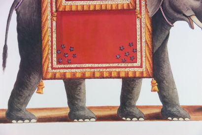 INDE. Éléphants de cérémonie, paire de lithographies....