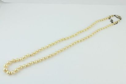 Collier en perles de cultures en chute, le...