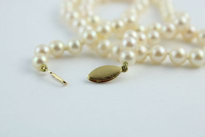 Collier de perles de culture, le fermoir...