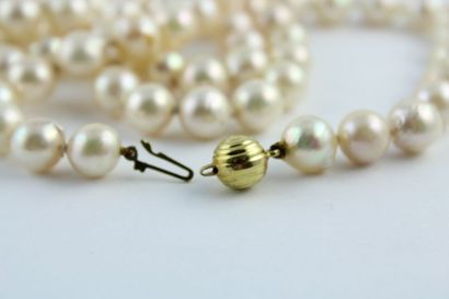 Lot including:
- A necklace of cultured pearls...