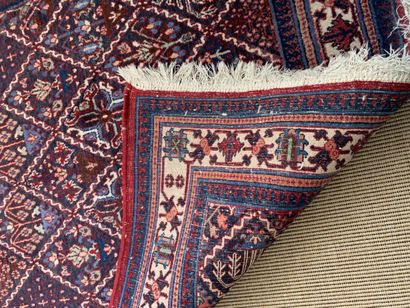 Tapis Djochagan morchekor. Iran. Vers 1975/80....