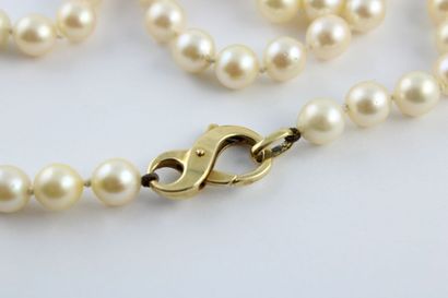 Collier de perles de culture, le fermoir...