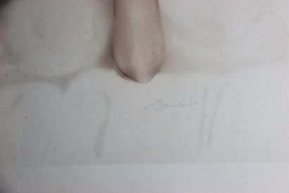 Ecole du XXe siècle, Nu fémini allongé de...