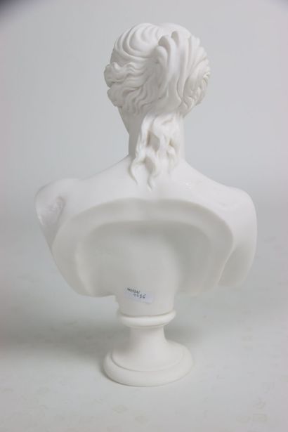 Buste de la Vénus de Milo, statue en poudre...