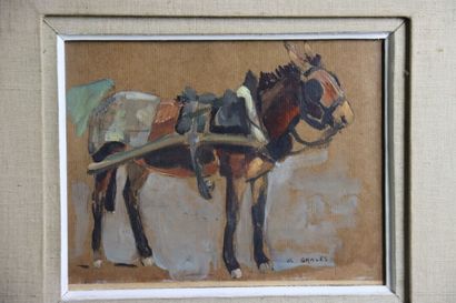 Jean Lucien GRAVES (XXe siècle), L'Âne, huile...