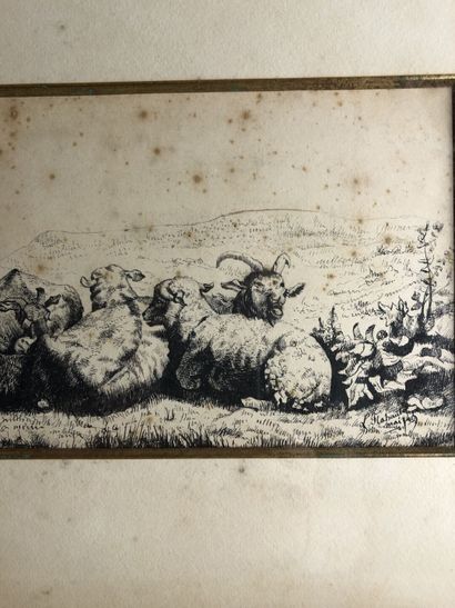 L. FLABAUT (?), troupeau de brebis Signé...
