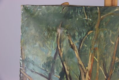 L. RIVIERE (XXe siècle), Arbres au bord d'un...