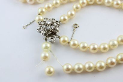 Necklace made of cultured pearls with two...