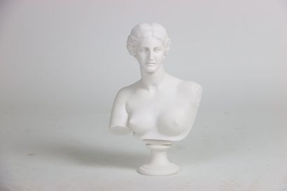 Buste de la Vénus de Milo, statue en poudre...