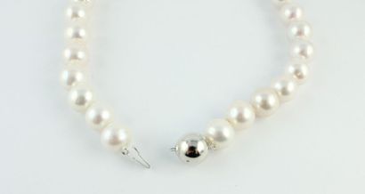 Collier de perles de culture en chute (diamètre...