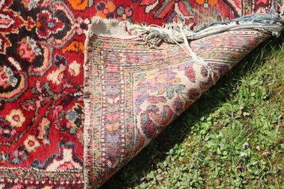 TAPIS. Lilian. Iran. Vers 1970. Velours en...