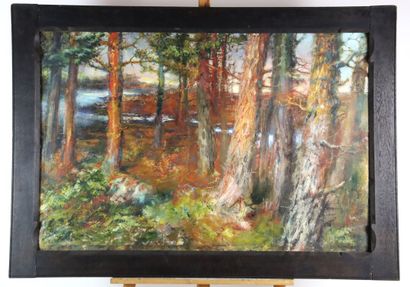 Edvard LINDSKOG (Swedish, 1875-?) Trees near...