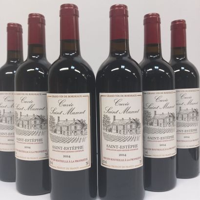 6 bouteilles de Saint Estèphe 2014, Château...