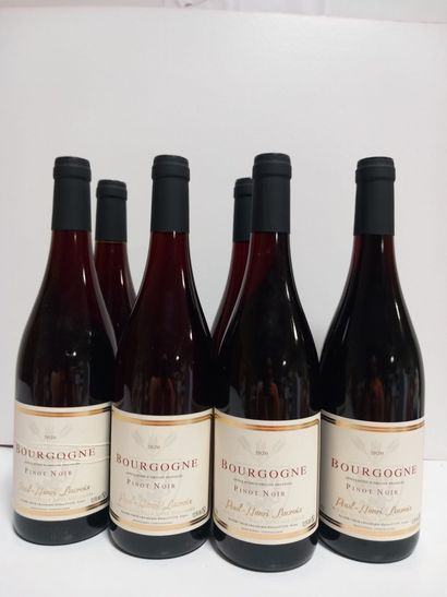 7 bouteilles de Bourgogne 2020, Paul Henri...