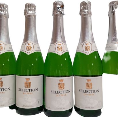 27 bouteilles de Blanc de Blanc Méthode Traditionnelle...