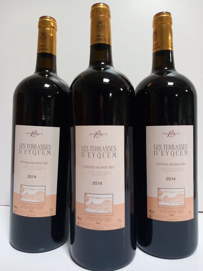 3 magnums de Côtes de Bourg 2014, Château...
