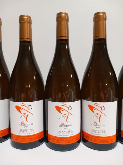 12 bouteilles de IGP CÔTES DU LOT 
