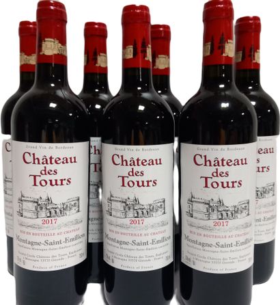 7 bouteilles de MONTAGNE-SAINT-ÉMILION 2017,...