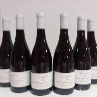 6 bouteilles de SAVIGNY LES BEAUNE 1er Cru...
