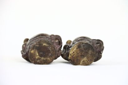 Chine. Paire de magots en bronze patiné tenant...