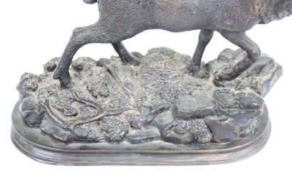 Fratin, d'après. Brame du cerf. Régule à...