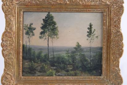 Georges CALLOT (1857-1903). Forest landscape....