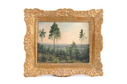 Georges CALLOT (1857-1903). Forest landscape....