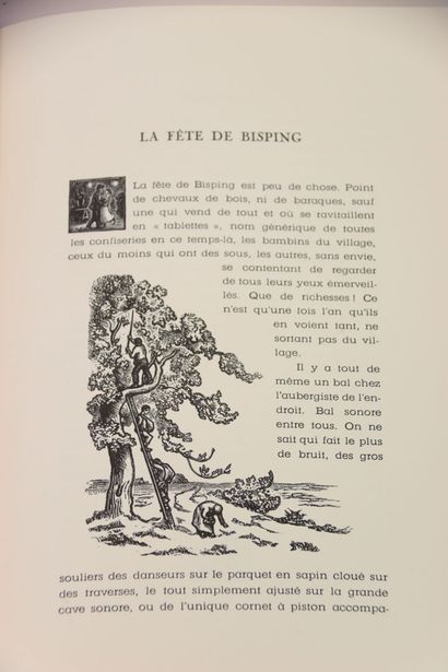 [METZ] - En Lorraine, par sentiers et venelles....