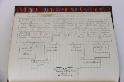 [MANUSCRIT] - MORY D'ÉLYANGE - Notes généalogiques...