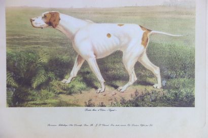Réunion de trois lithographies en couleurs...