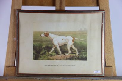 Réunion de trois lithographies en couleurs...