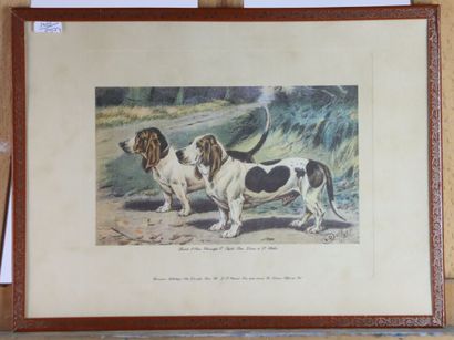 Réunion de trois lithographies en couleurs...