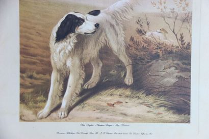 Réunion de trois lithographies en couleurs...