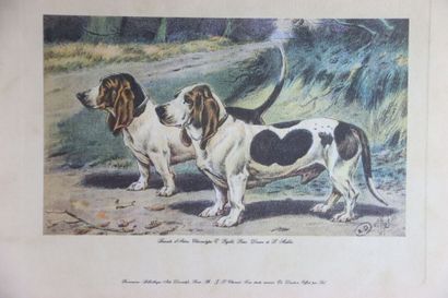 Réunion de trois lithographies en couleurs...