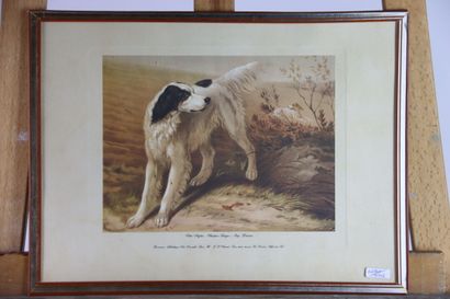 Réunion de trois lithographies en couleurs...