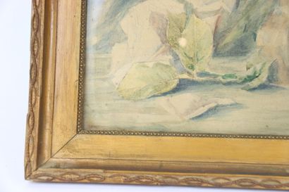 1 still-life watercolor, Berieux A (1912...