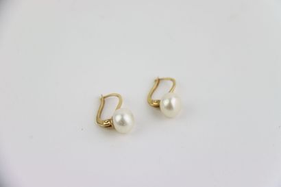 2 pairs of gold earrings (1 pair 2 gold,...