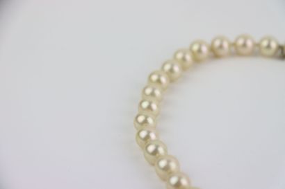 1 white pearl choker, silver-plated metal...