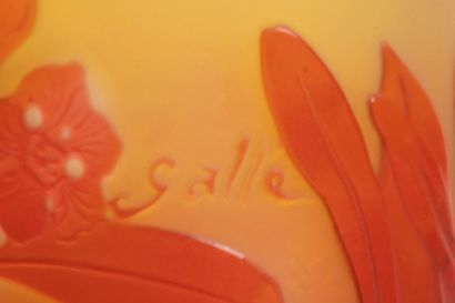 Établissement Émile GALLÉ (1904-1936).
Vase...