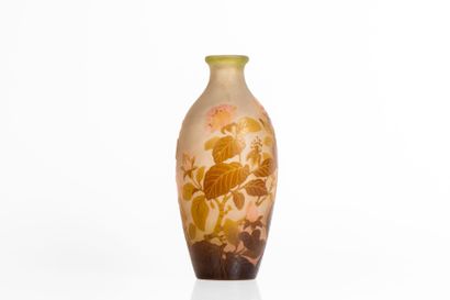 Établissement Émile GALLÉ (1904-1936).
Branche...