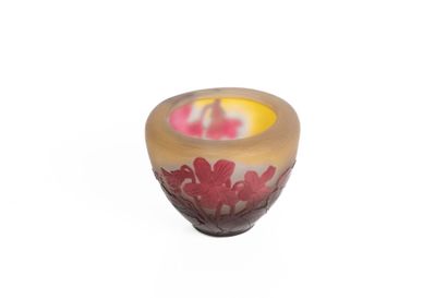 Établissement Émile GALLÉ (1904-1936).
Vase...